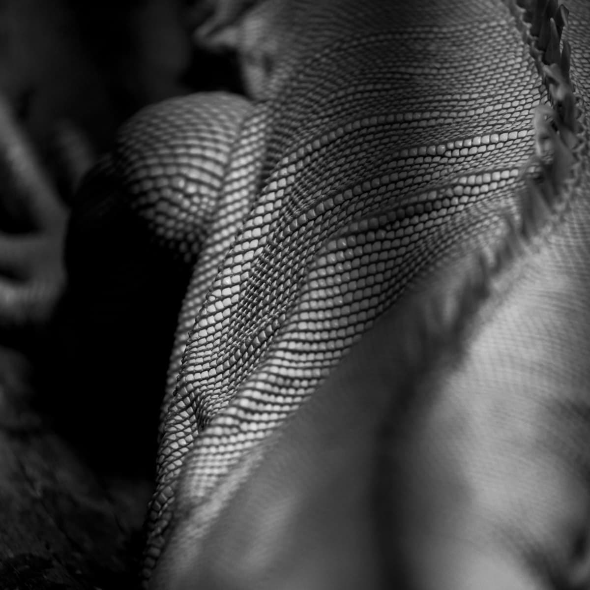 Black-and-white textured fabric, abstract close-up
