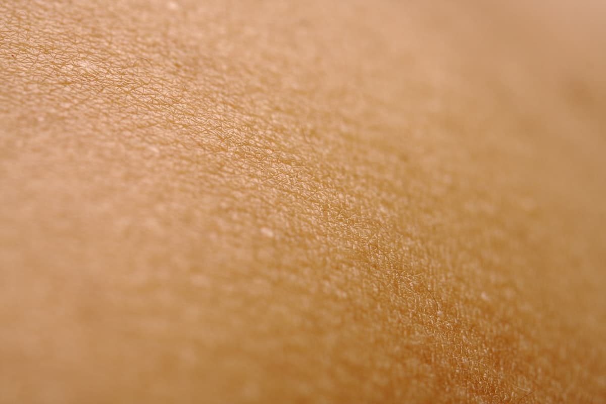Macro close-up of human skin texture